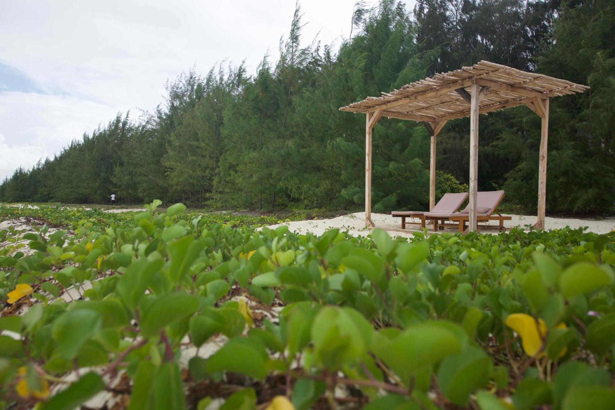 Kivuli Beach Resort Paje Exterior foto
